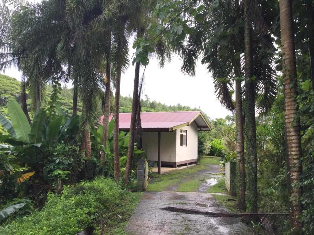 House exterior surrounded by palm trees on Raiatea
